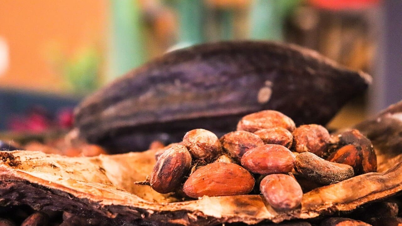 Cacao