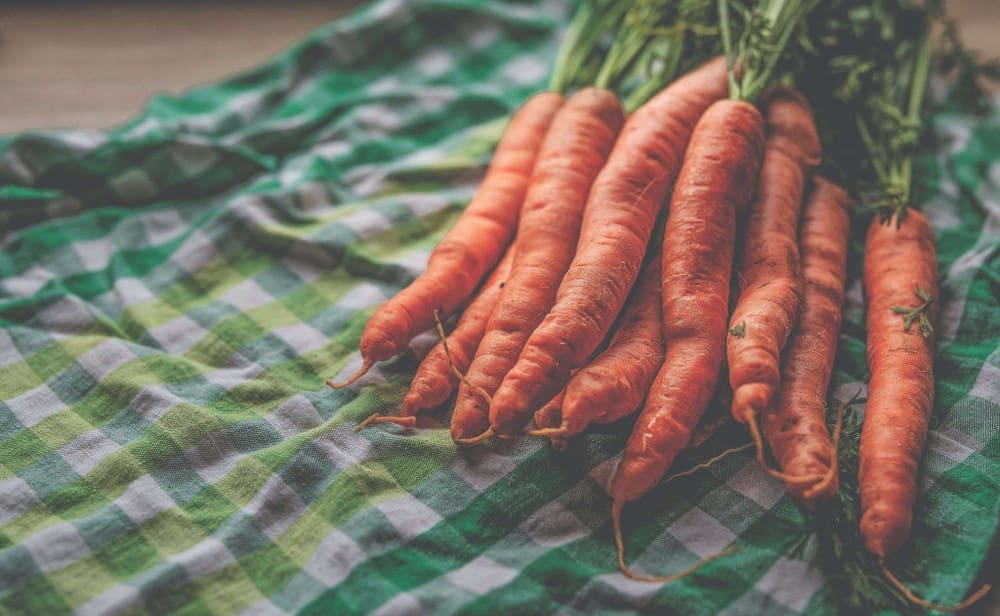 Carrot Seed Oil